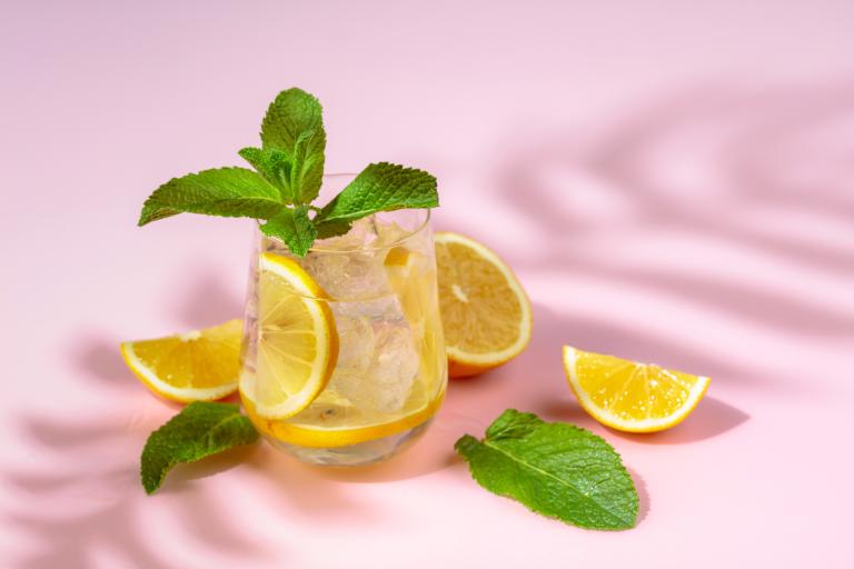Glass of seltzer with fruit and mint.